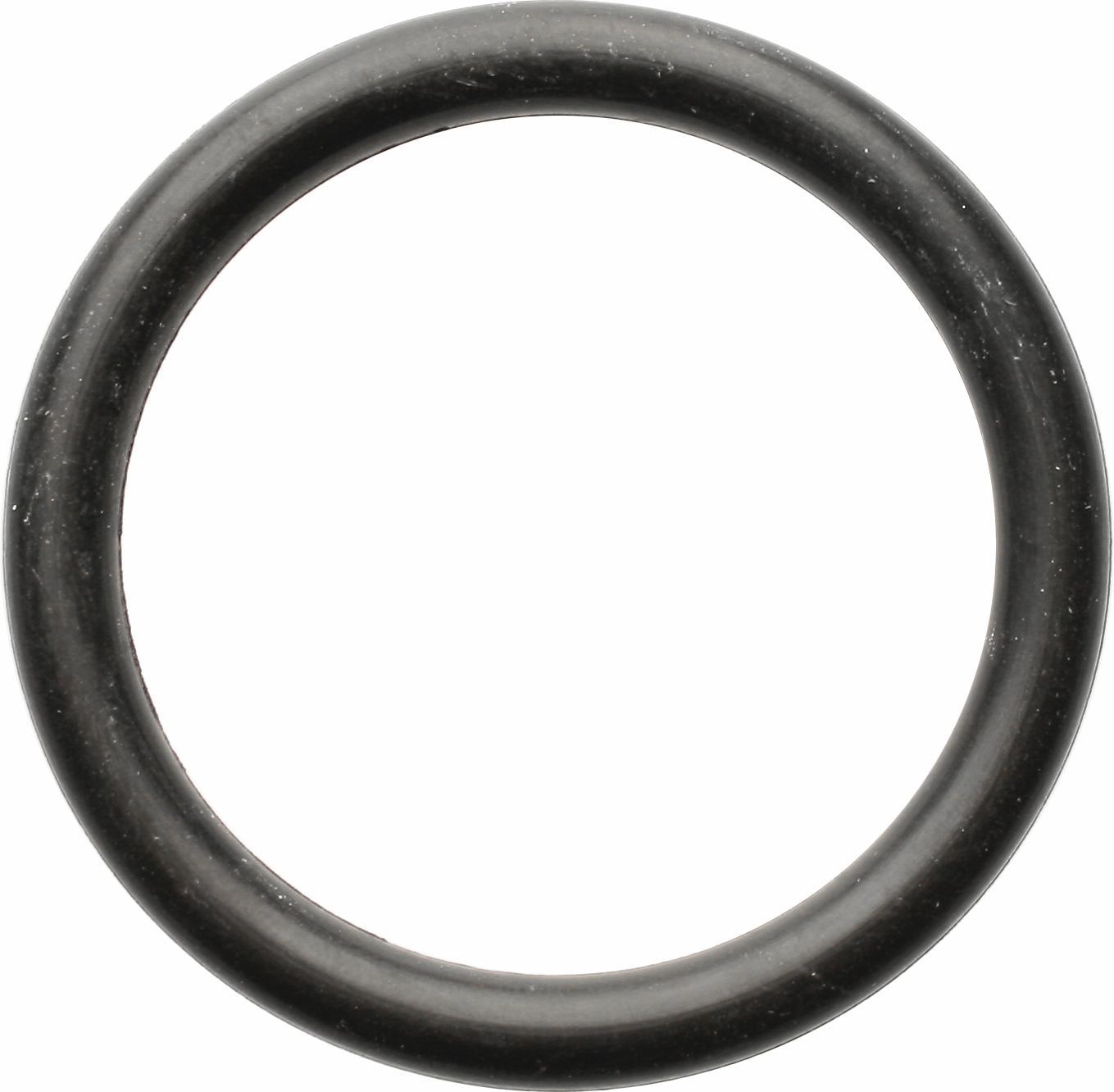 O-ring stor
