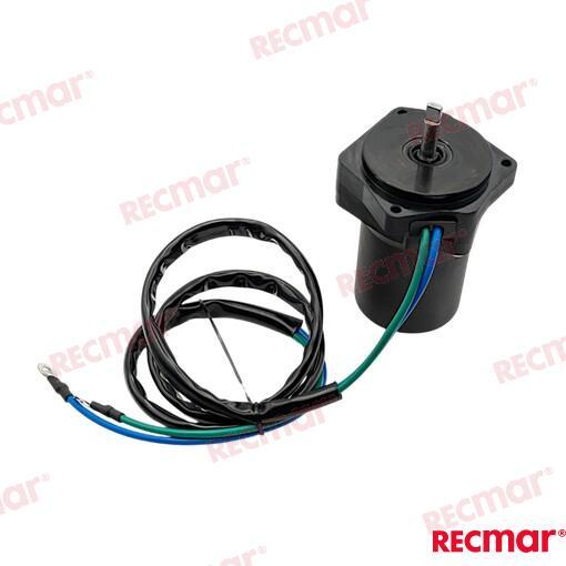 Powertrim/ Tiltmotor