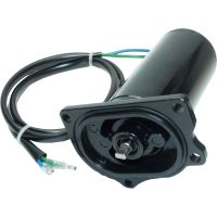 Powertrim/ Tiltmotor