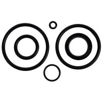 O-ringsats