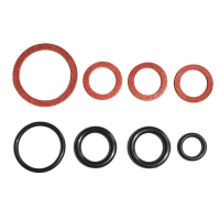 Packningssats oljeplugg