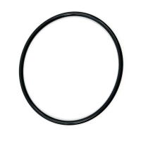 O-ring