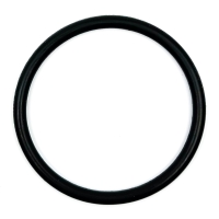 O-ring