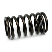 SPRING-VALVE