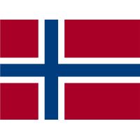 Gästflagga Norge 30cm