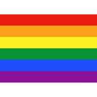 Gästflagga Pride
