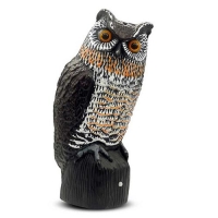 Fågelskrämman Hubro