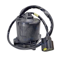 Powertrim/ Tiltmotor