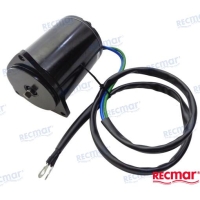 Powertrim/ Tiltmotor