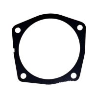 Shim Bearing Carrier .005 Blue