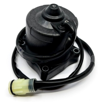 Pt Motor