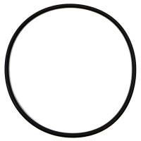 O-ring