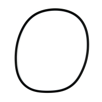 O-ring