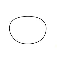 O-ring