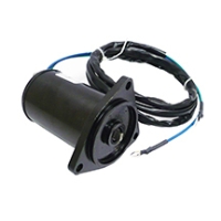 Powertrim/ Tiltmotor