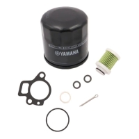 Service Kit 100h