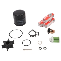 Service Kit 300h