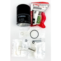 Service Kit 100h