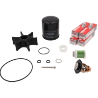 Service Kit 300h