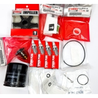 Service Kit 300h
