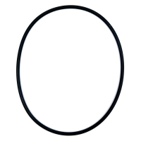 O-ring